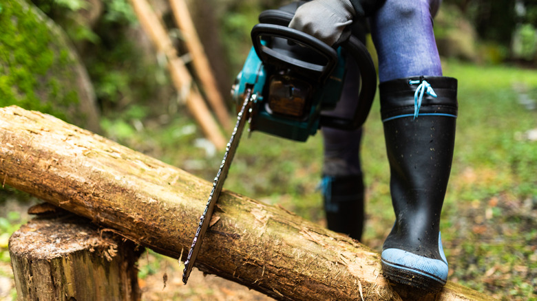 person cutting log with chainsaw