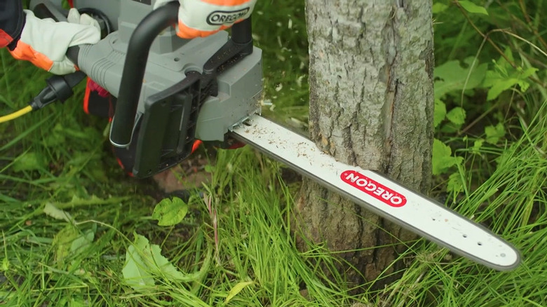 Person cutting into tree trunk with chainsaw
