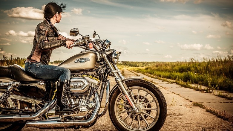 Evo Harley Davidson Sportster