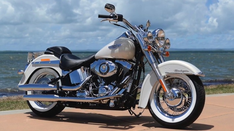White Harley-Davidson Softail Deluxe parked by the lake