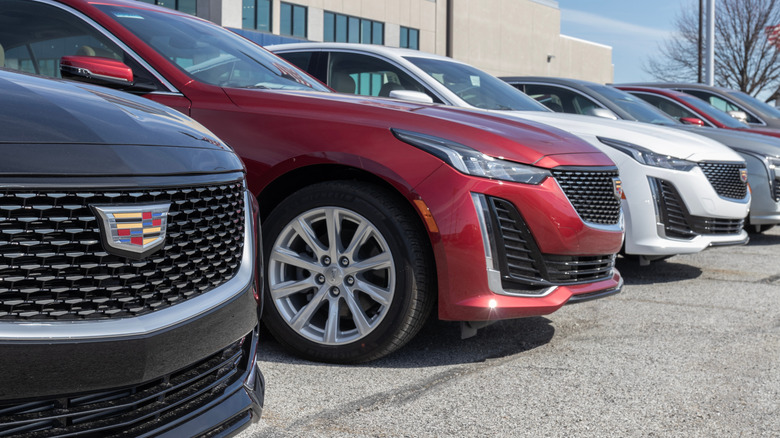 A row of Cadillac CT4 sedans parked