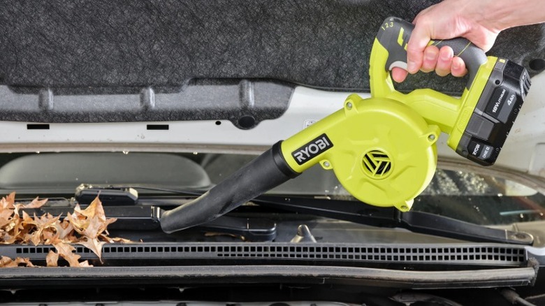 Person using Ryobi 18V One+ Cordless Compact Workshop Blower to remove leaves from a car