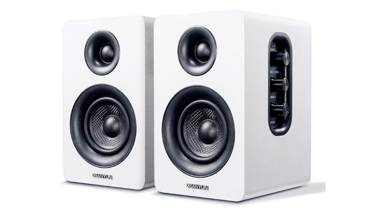 Sanyun SW208 active Bluetooth speakers