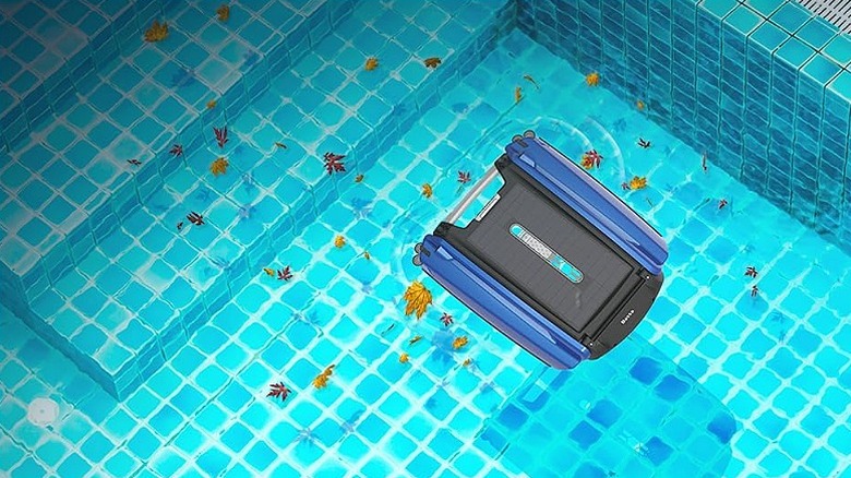 Betta skimmer cleaning fallen leaves and debris in the pool.