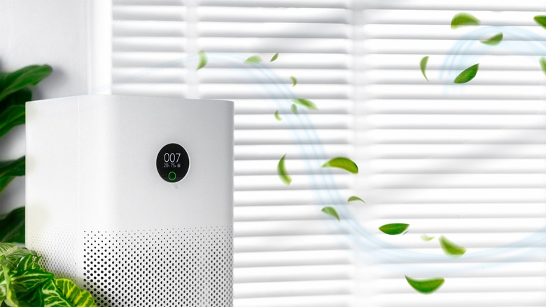 an air purifier cleans air