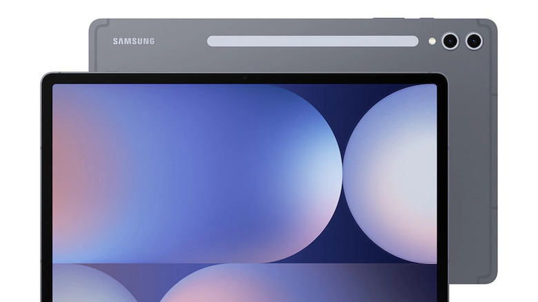 Samsung Galaxy Tab S10+ display and rear camera
