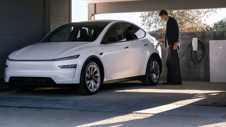A Tesla owner charging his car with a Tesla Wall Connector