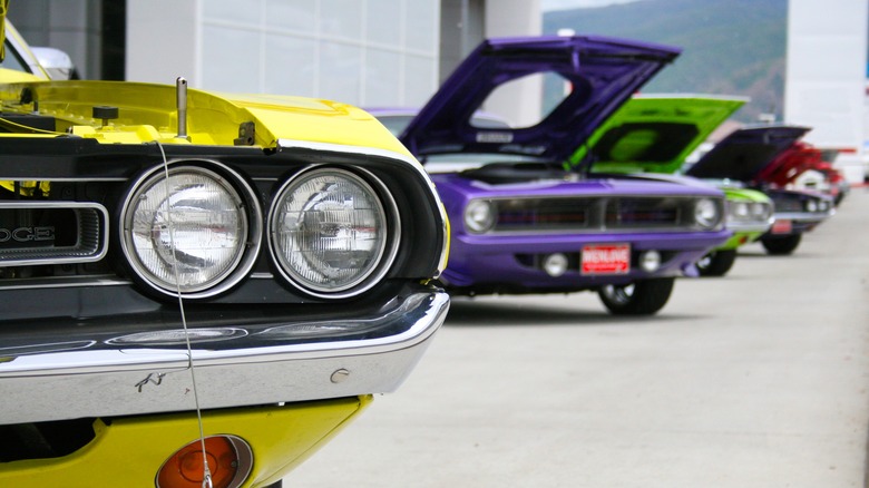 Classic muscle cars with open hoods