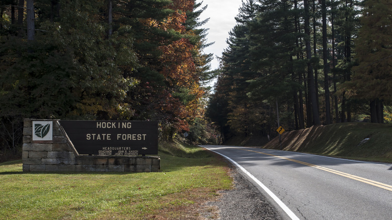 Entrance sign for Hocking State Forest along a scenic two-lane road lined with tall pine trees and fall foliage in southeastern Ohio.