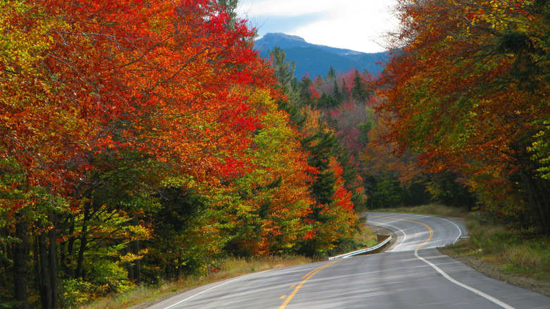 Scenic view of the Kancamagus Highway in New Hampshire, with winding pavement surrounded by vibrant fall foliage in shades of red, orange, and yellow.