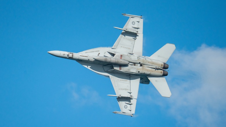 A Boeing F/A-18E/F Super Hornet in the sky