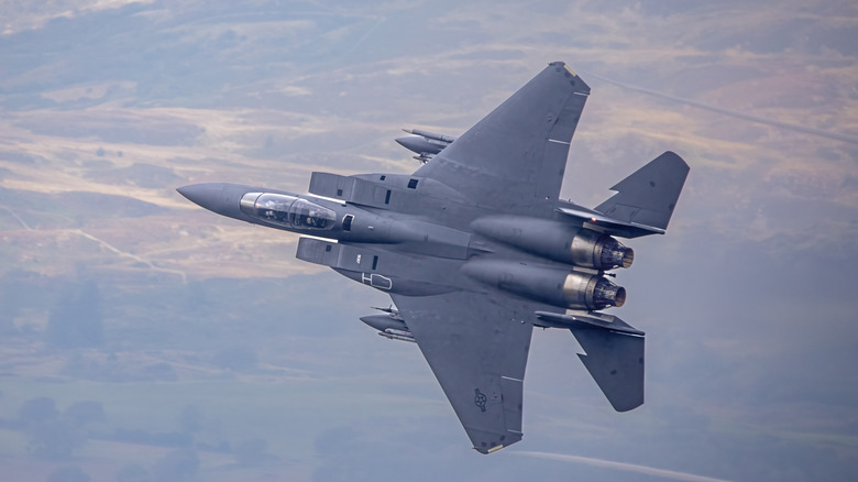 A McDonnell Douglas F-15 Eagle in the air