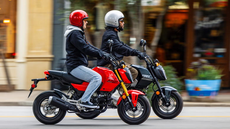 Two 2025 Honda Groms on the road
