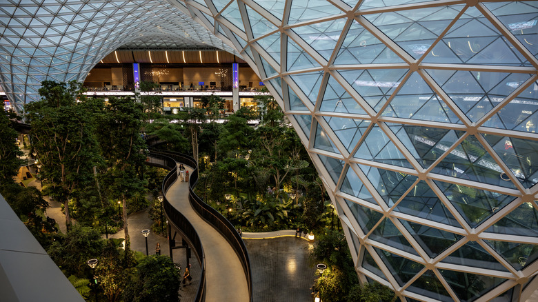 Glass ceilings with indoor forest