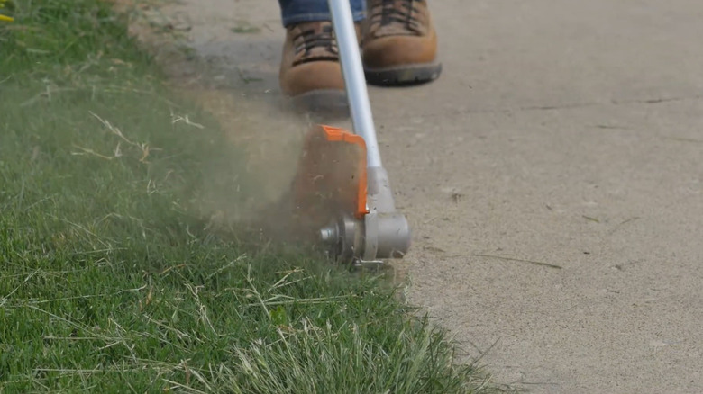 Stihl FCS-KM Straight Lawn Edger in action
