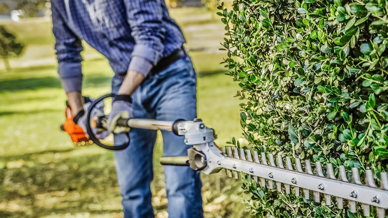 Man using Stihl HL-KM 145 Degree Adjustable Hedge Trimmer