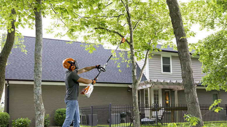Man using Stihl HT-KM Pole Pruner