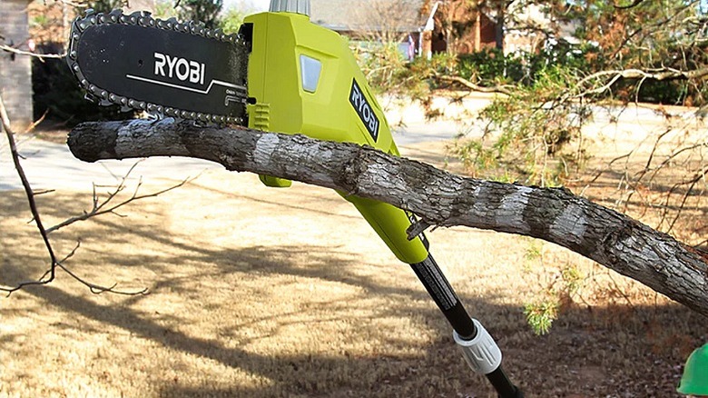 Using a pole saw to cut overhead tree branches.