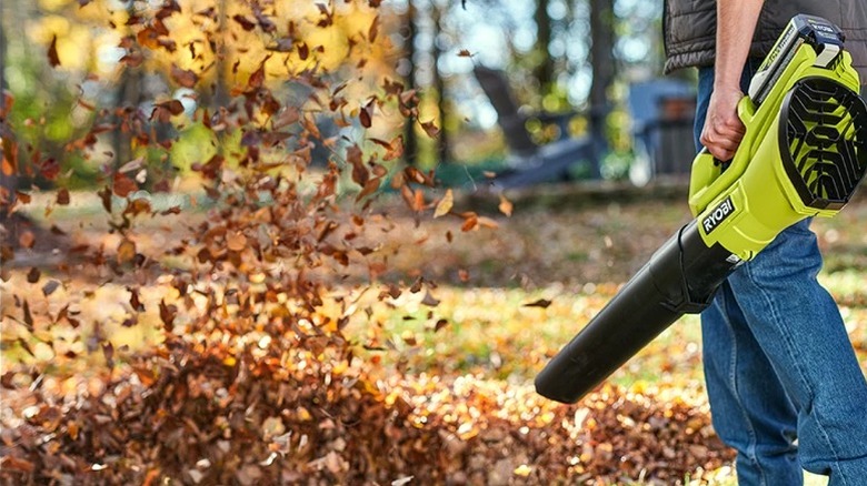 Man carrying a leaf blower toward a pile of fallen leaves.