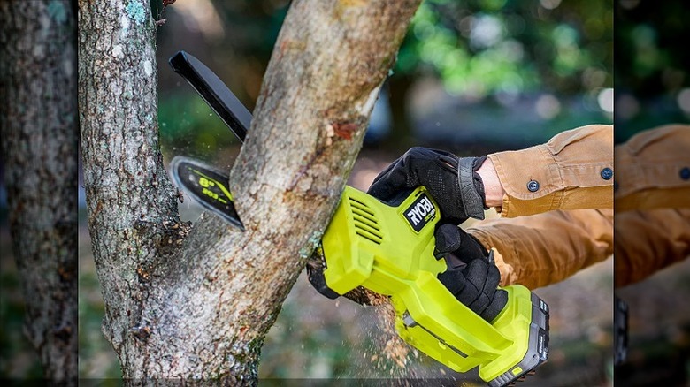 Using a mini chainsaw to cut a tree branch.