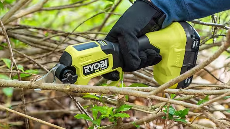 Using a pruner to cut a thin tree branch.