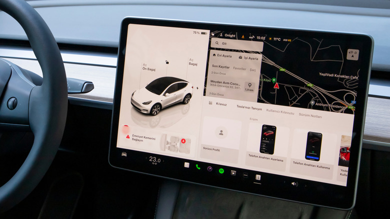 Tesla screen