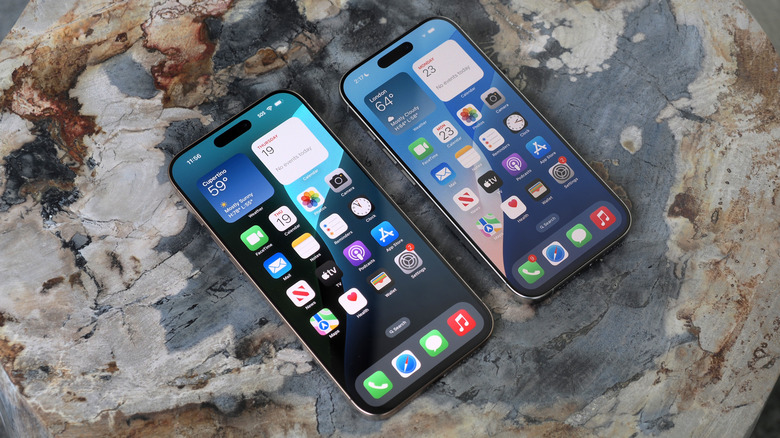 iPhone 16 Pro and 16 Pro Max face-up on a stone