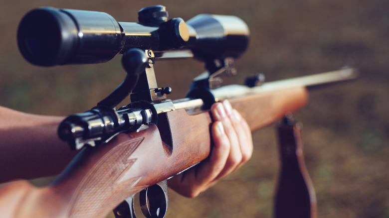 Hunting rifle scope