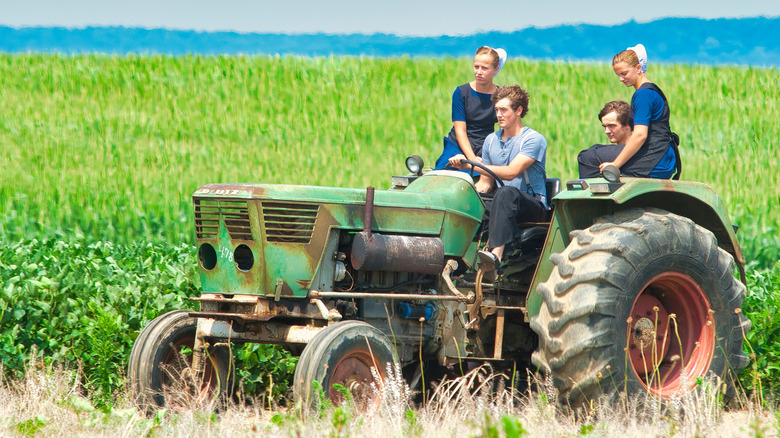 Amish children tractor ride