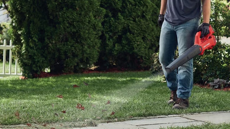 Using the Craftsman blower in a lawn.