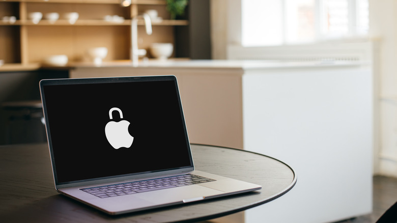 Locked Apple computer