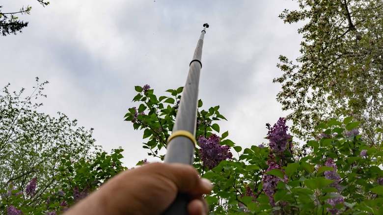 10 foot selfie stick with the Insta360 X5 lifted into the air on top.