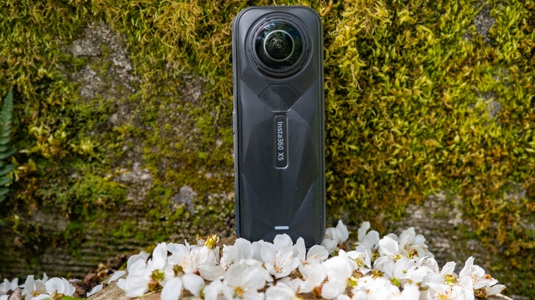 The Insta360 X5 among white flower blossoms in front of a mossy wall.