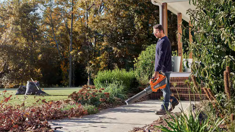 Ridgid leaf blower used on garden path