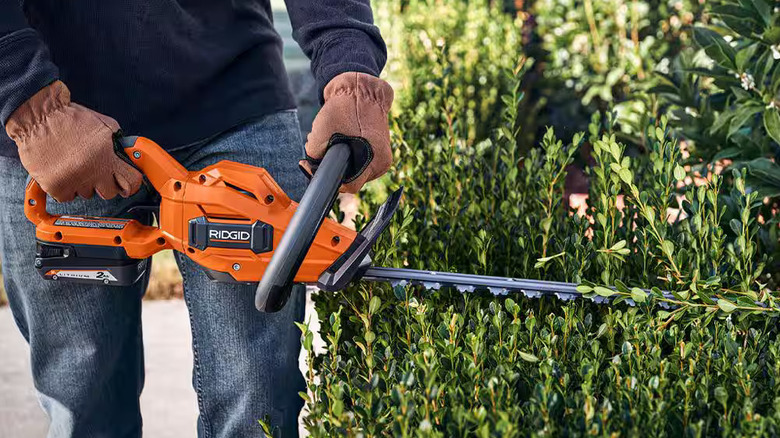Ridgid hedge trimmer cutting a hedge