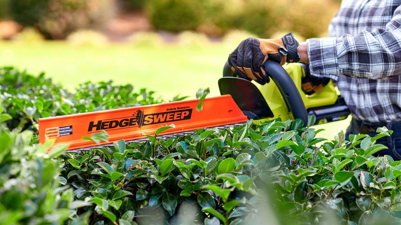 Ryobi 40V 24 Inch Hedge Trimmer Kit