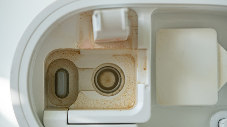 Slime and mildew inside a humidifier