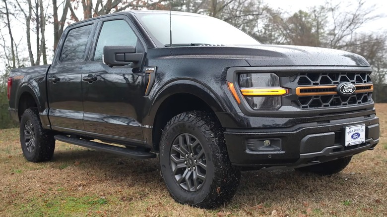A 2025 Ford F-150 Tremor variant parked in front of a park