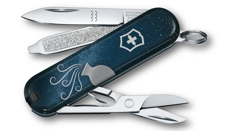 Victorinox aquarius