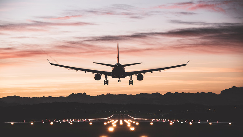 Airplane landing pink sky
