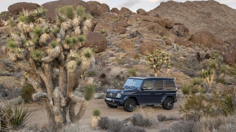 A dark blue G-Wagon parked on a desert trail with a spiky cactus in the foreground
