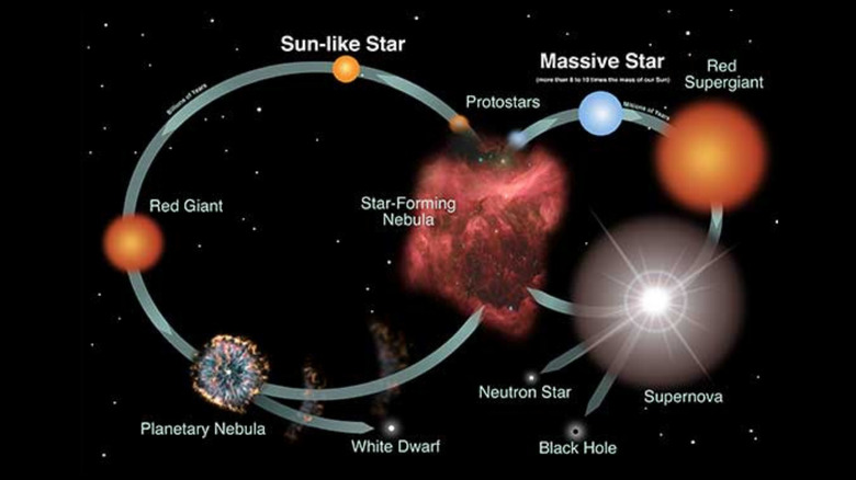 Diagram showing the lifecycle of a star