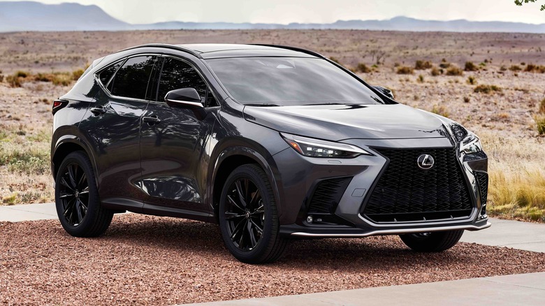 Lexus NX in the countryside