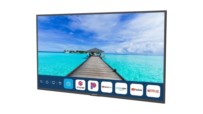 Peerless-AV NT553 55-inch partial sun outdoor TV