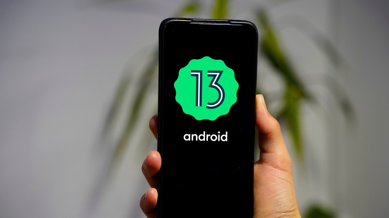 hand holding smartphone that displays Android 13 logo