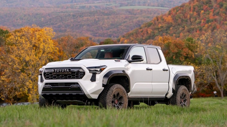 Toyota Tacoma in a field