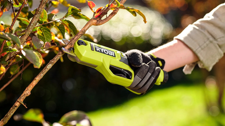 Ryobi USB Lithium pruning shears in action.