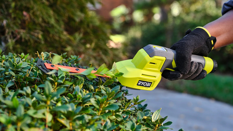 A hand using Ryobi USB Lithium shear shrubber to trim shrubs.