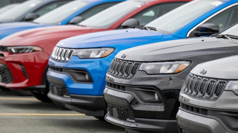jeep cars lined up