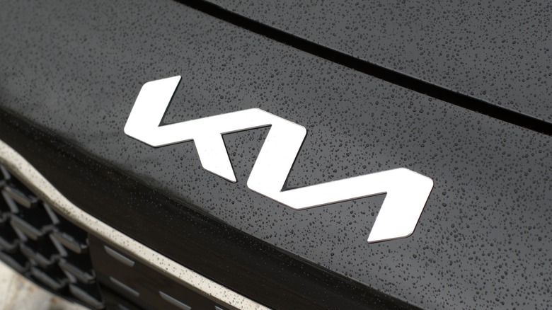 Silver Kia Logo on black hood